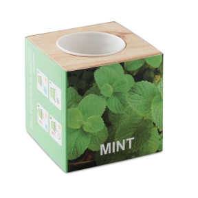 Garšaugu podiņa koks "MINT"