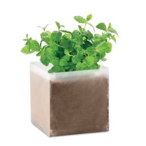 Komposts ar sēklām "MINT"