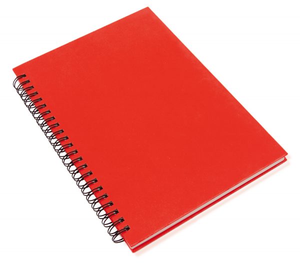 Piezīmju grāmatiņa V2581